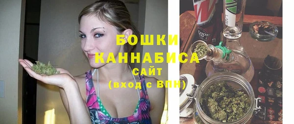 индика Белокуриха