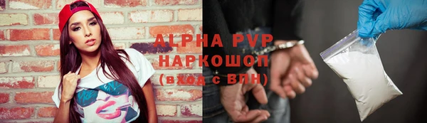 индика Белокуриха