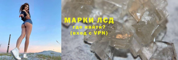 индика Белокуриха