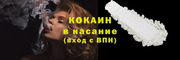 индика Белокуриха