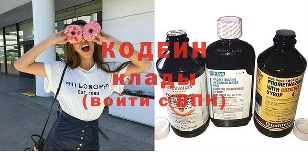 индика Белокуриха