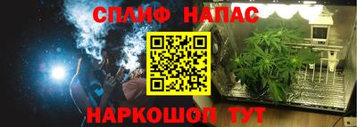 прущие грибы Шебекино