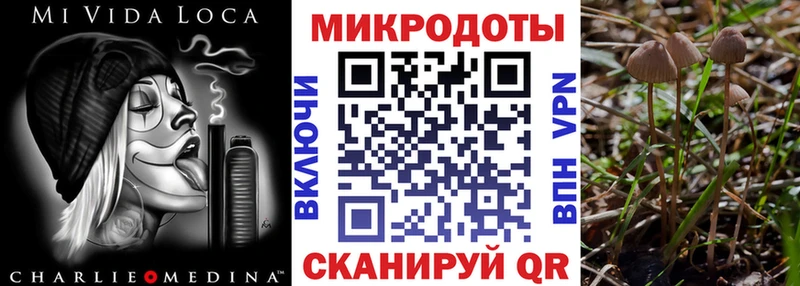 Псилоцибиновые грибы MAGIC MUSHROOMS  как найти закладки  Воркута 