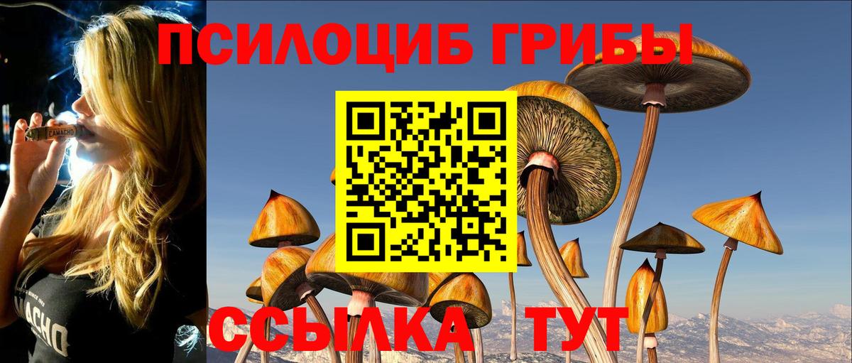 Галлюциногенные грибы Cubensis  Вход с VPN  Воркута 